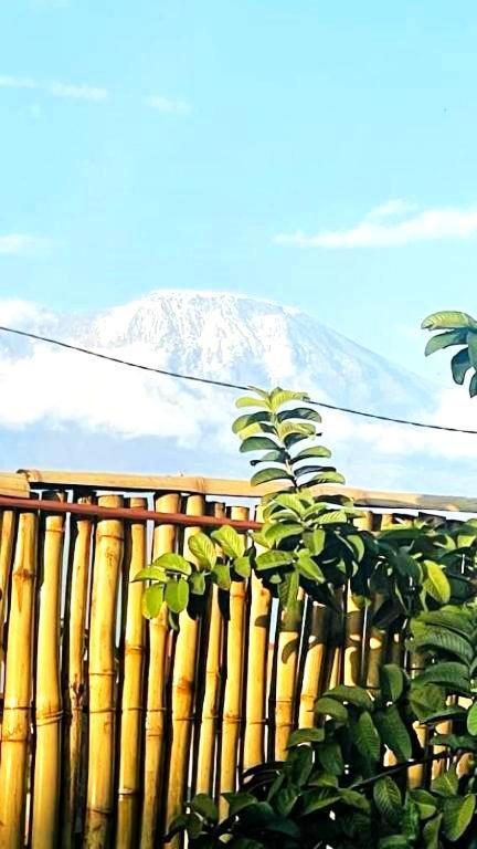 Safi House Bed & Breakfast Boma la Ngombe Luaran gambar