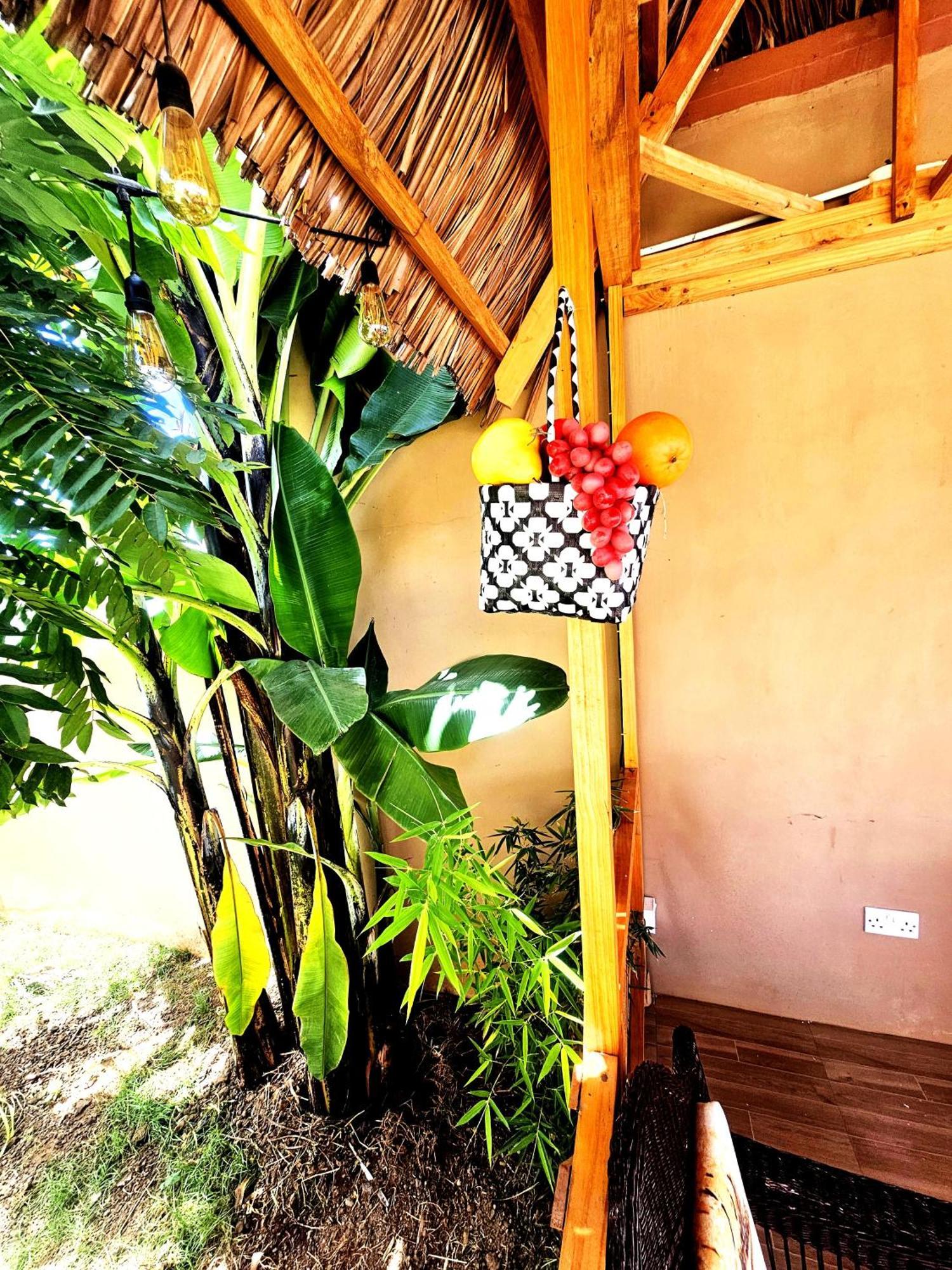 Safi House Bed & Breakfast Boma la Ngombe Luaran gambar